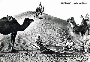 Bou-Saada - Halte au Desert